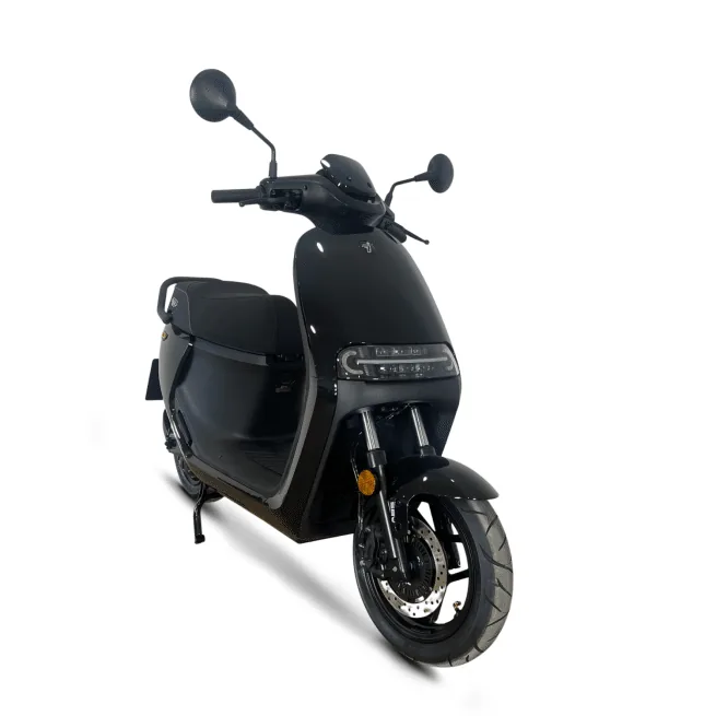 Segway E300SE